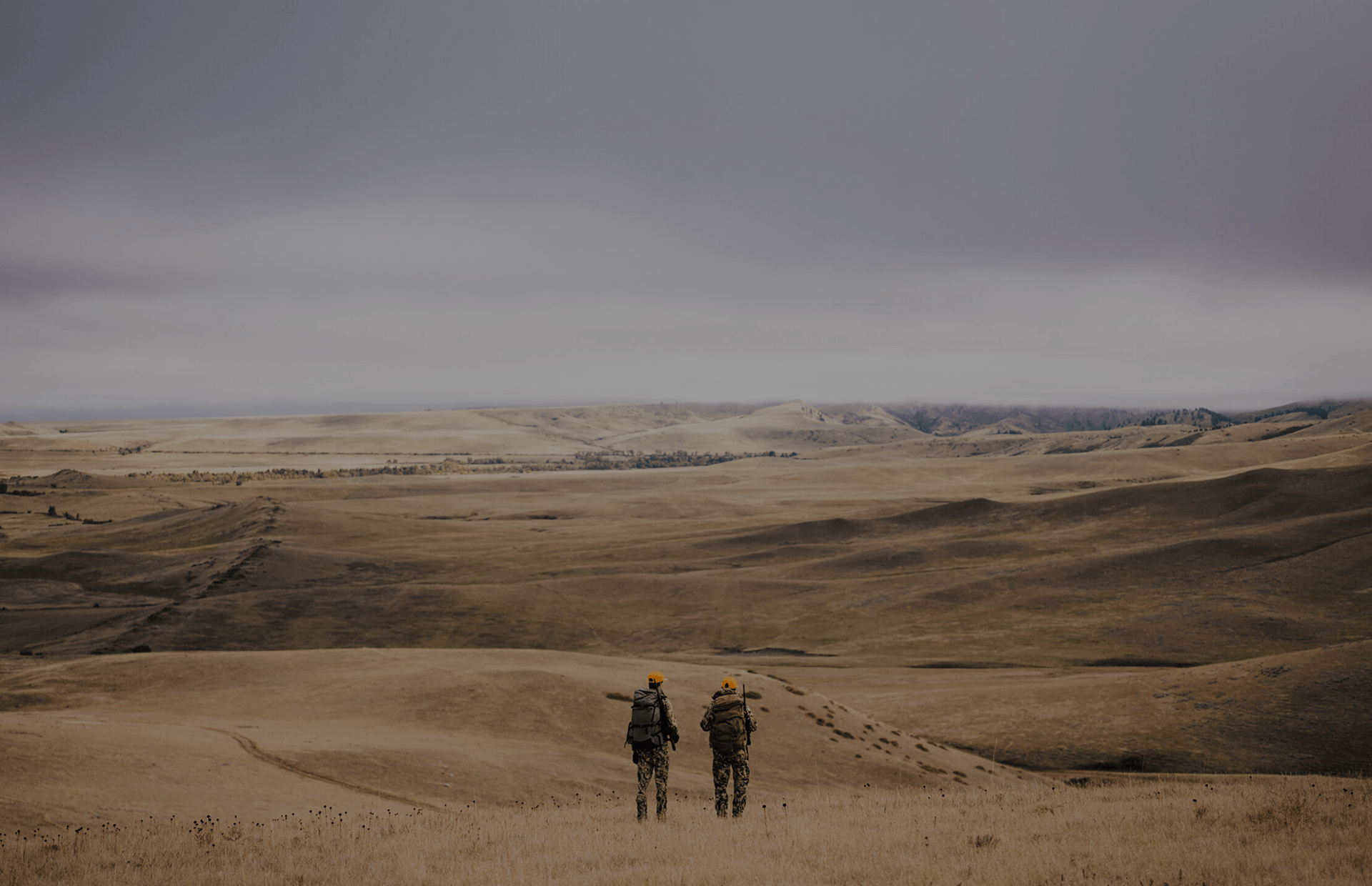 main about background